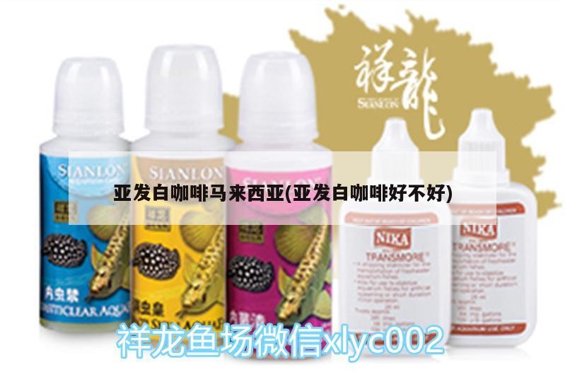 亞發(fā)白咖啡馬來西亞(亞發(fā)白咖啡好不好)
