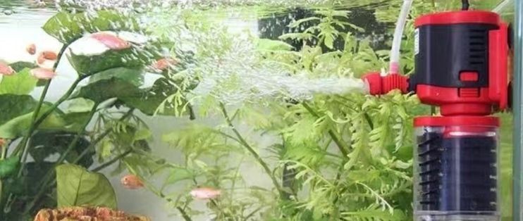yee和森森氧氣泵哪個(gè)好