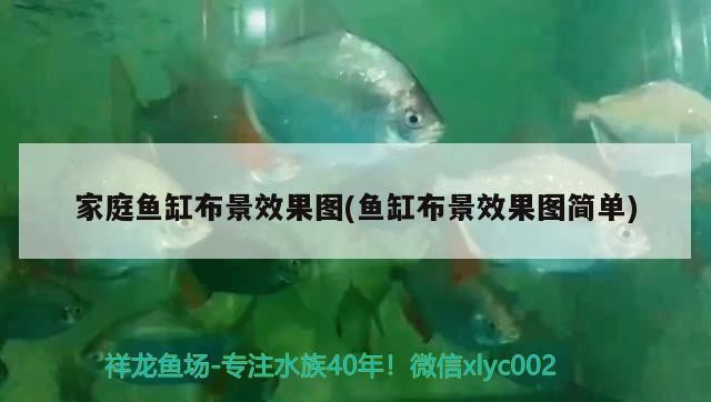 創寧水泵屬于哪個公司旗下的：創寧水泵屬于哪個公司旗下的產品 創寧水泵屬于哪個公司旗下的：創寧水泵屬于哪個公司旗下的產品 創寧水族 第2張
