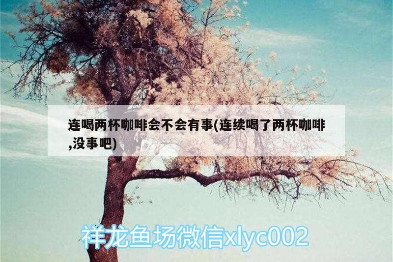 連喝兩杯咖啡會不會有事(連續喝了兩杯咖啡,沒事吧)