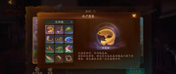 定西龍魚vs祥龍魚場（祥龍魚場和定西龍魚哪個好）