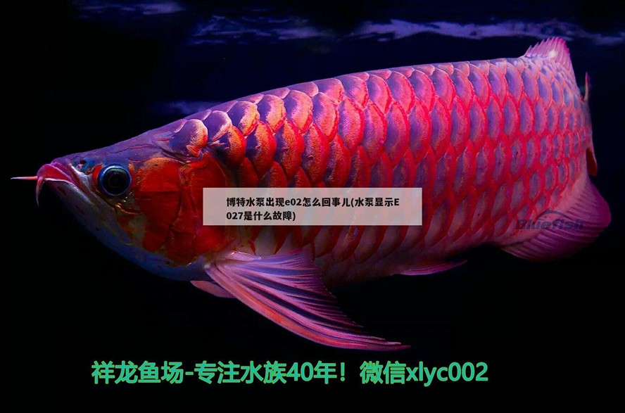 博特水泵出現e02怎么回事兒(水泵顯示E027是什么故障) 博特水泵出現e02怎么回事兒(水泵顯示E027是什么故障) 博特水族