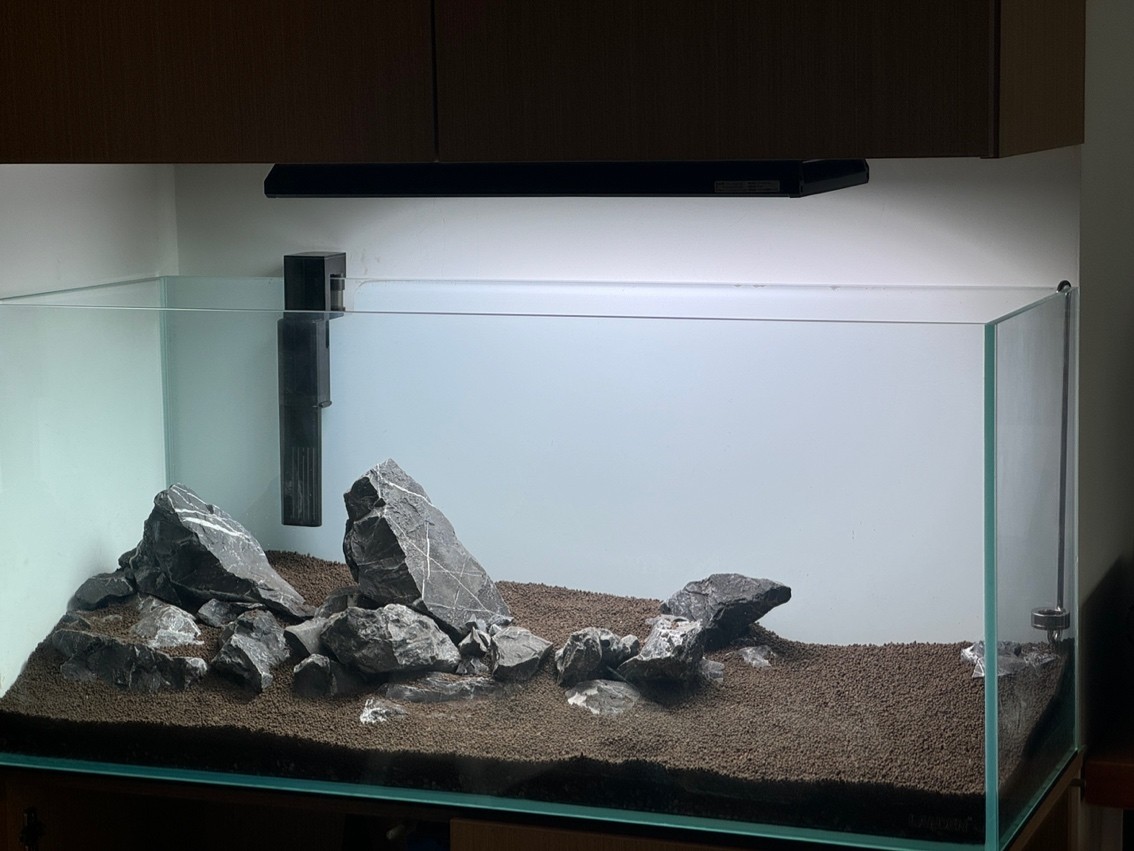 水草新開缸