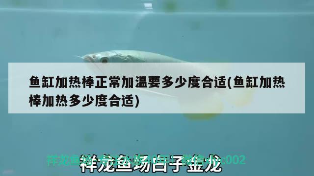 魚缸加熱棒正常加溫要多少度合適(魚缸加熱棒加熱多少度合適)