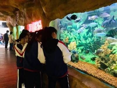 漳州水族館vs祥龍魚場（漳州水族館與祥龍魚場各有特色）