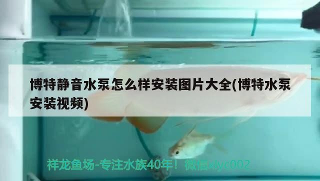 博特靜音水泵怎么樣安裝圖片大全(博特水泵安裝視頻)