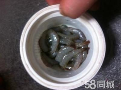 龍魚只咬碎,不吞食可以嗎：龍魚只咬碎食物而不吃怎么辦 龍魚只咬碎,不吞食可以嗎：龍魚只咬碎食物而不吃怎么辦 龍魚百科 第1張
