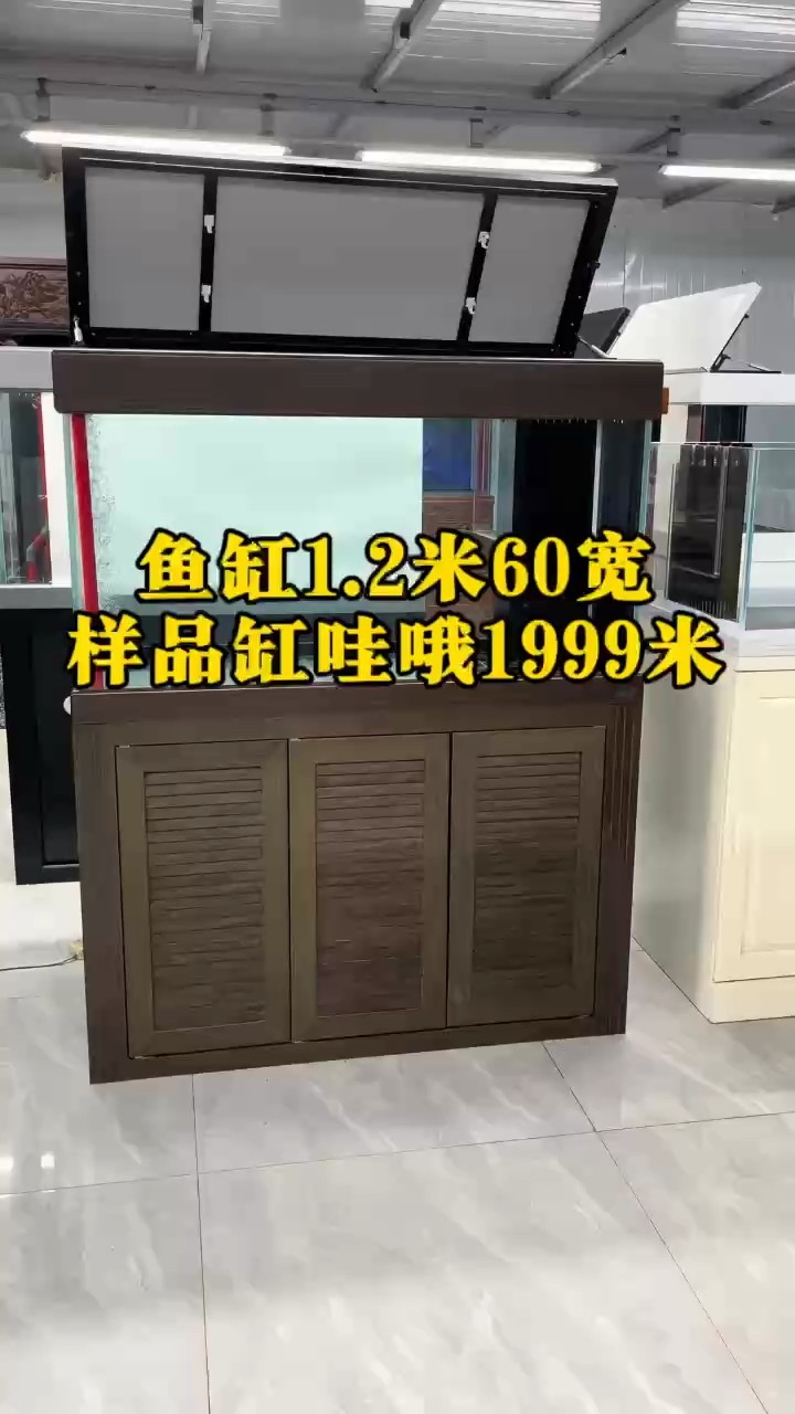 魚缸1.2米60寬特別的帥 魚缸1.2米60寬特別的帥 龍魚論壇