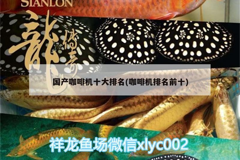 國產咖啡機十大排名(咖啡機排名前十)