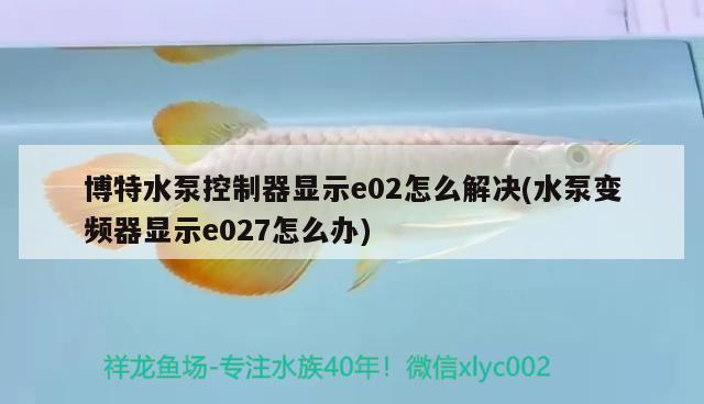 博特水泵控制器顯示e02怎么解決(水泵變頻器顯示e027怎么辦)