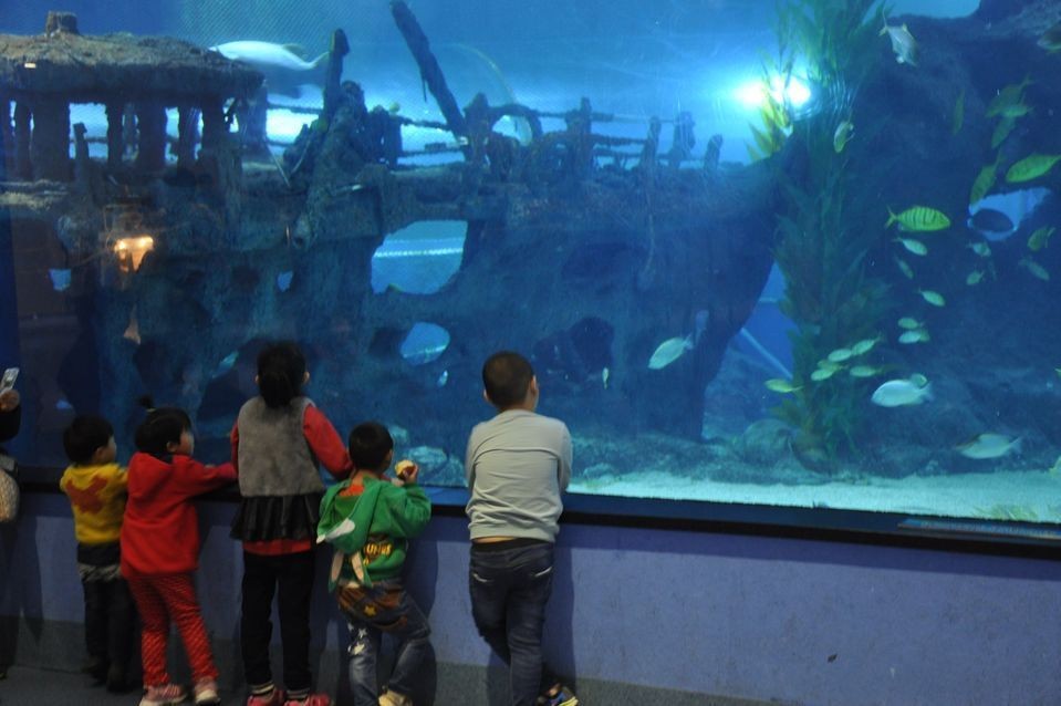 聊城水族館vs祥龍魚場（聊城水族館和祥龍魚場哪個好） 聊城水族館vs祥龍魚場（聊城水族館和祥龍魚場哪個好） 全國水族館企業名錄 第5張