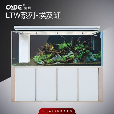可麗愛魚缸壽命一般是多少（可麗愛魚缸壽命一般是多少年）