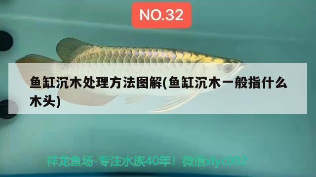 魚缸沉木處理方法圖解(魚缸沉木一般指什么木頭) 魚缸沉木處理方法圖解(魚缸沉木一般指什么木頭) 金龍魚百科