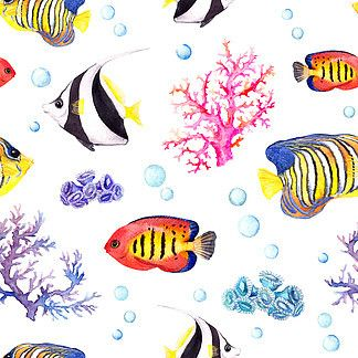 虎魚背景紙：養(yǎng)魚老道最不愛做的就是這些所謂的技術(shù)活技術(shù)活