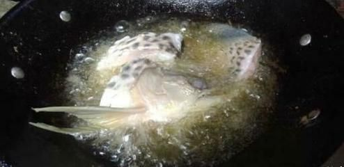 金龍魚白眼怎么治好：金龍魚出現白眼癥狀可能是由于多種原因引起的，以下幾種可能治療