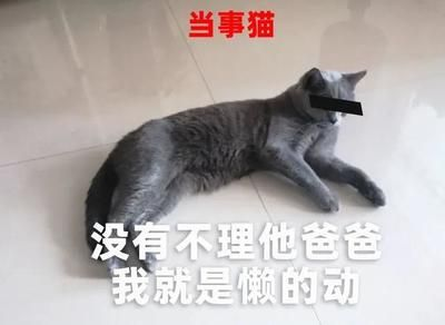 金龍魚白眼怎么治好：金龍魚出現白眼癥狀可能是由于多種原因引起的，以下幾種可能治療