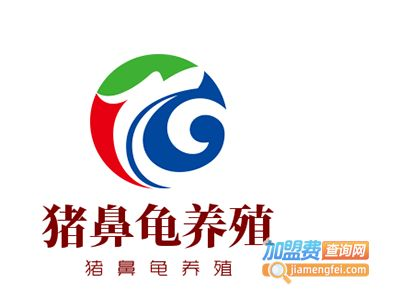豬鼻龜30公分價格：30公分的豬鼻龜多少錢一斤