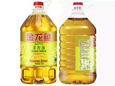 洛陽市魚缸批發市場在哪里啊
