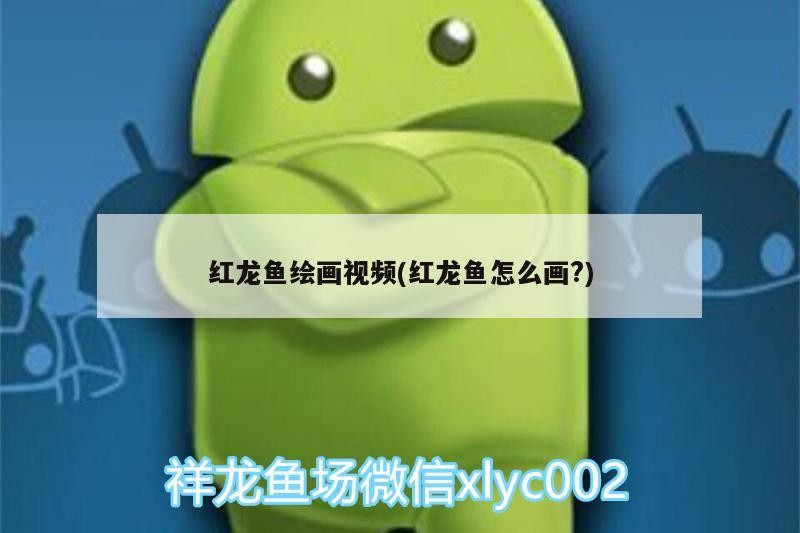 給大魚缸換水的作文:體驗(yàn)給大魚缸換水的樂趣:體驗(yàn)給大魚缸換水:給大魚缸換水的作文 紅龍魚繪畫視頻(紅龍魚怎么畫?) 魟魚百科 紅龍魚繪畫視頻(紅龍魚怎么畫?) 紅龍魚繪畫視頻(紅龍魚怎么畫?) 魟魚百科