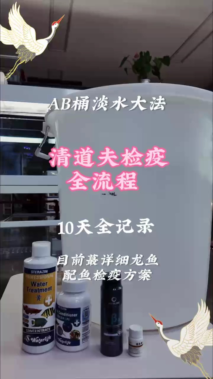 最全龍魚配魚及清道夫檢疫方法
