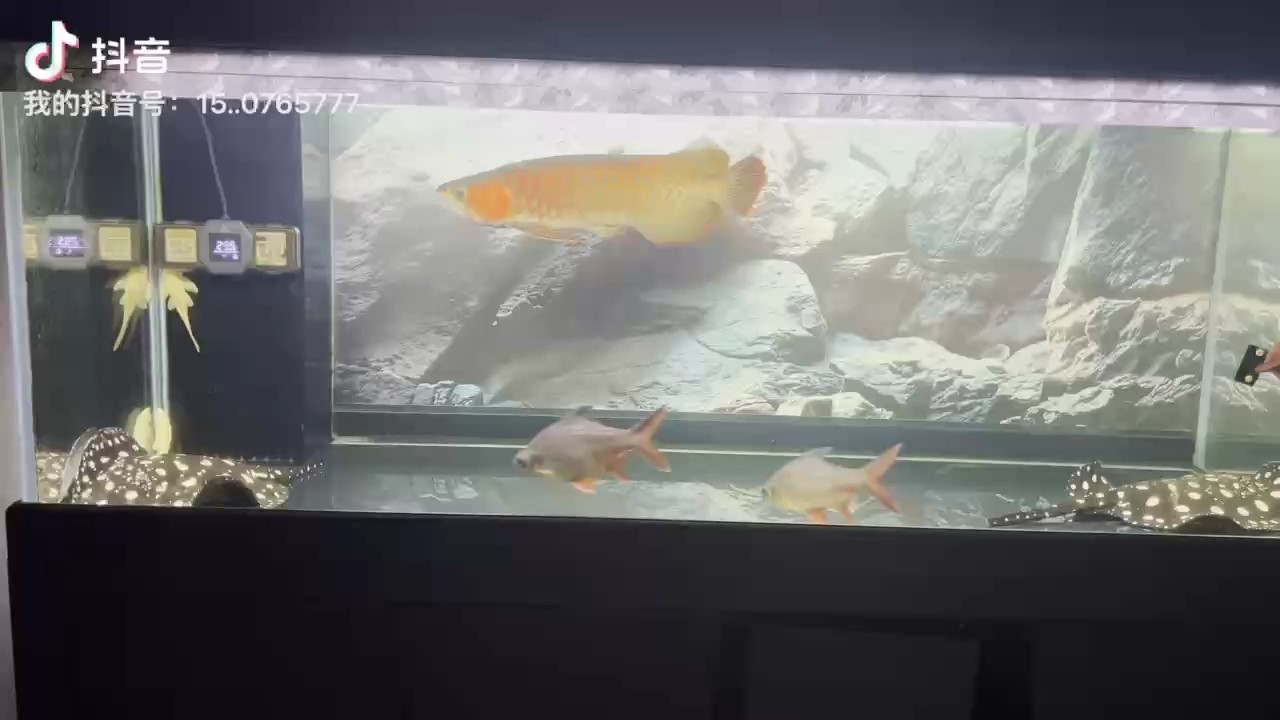 怎么才能變寬呢