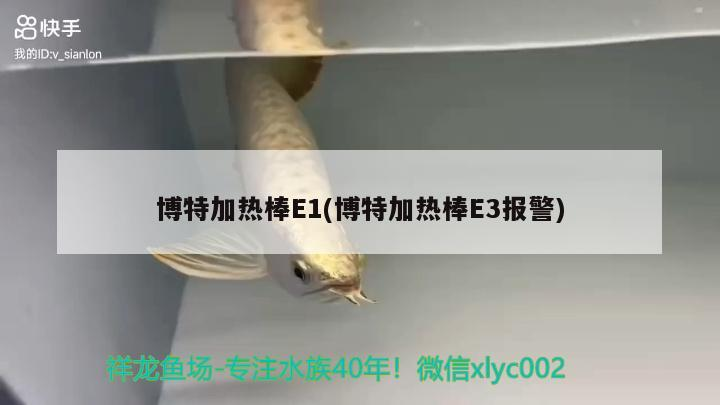 龍魚干蝦有營養(yǎng)嗎 博特加熱棒E1(博特加熱棒E3報警) 博特水族 博特加熱棒E1(博特加熱棒E3報警) 博特加熱棒E1(博特加熱棒E3報警) 博特水族