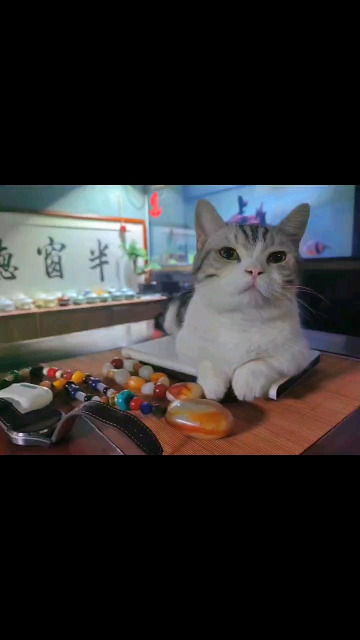我獨處的小窩