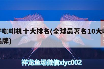 國產(chǎn)咖啡機十大排名(全球最著名10大咖啡機品牌) 國產(chǎn)咖啡機十大排名(全球最著名10大咖啡機品牌) 馬來西亞咖啡