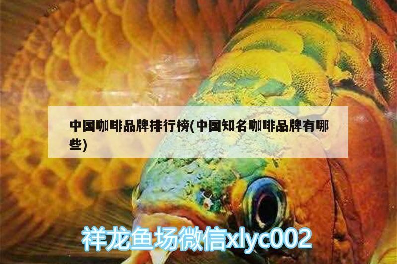 中國咖啡品牌排行榜(中國知名咖啡品牌有哪些)