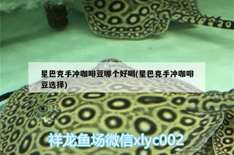 星巴克手沖咖啡豆哪個好喝(星巴克手沖咖啡豆選擇)
