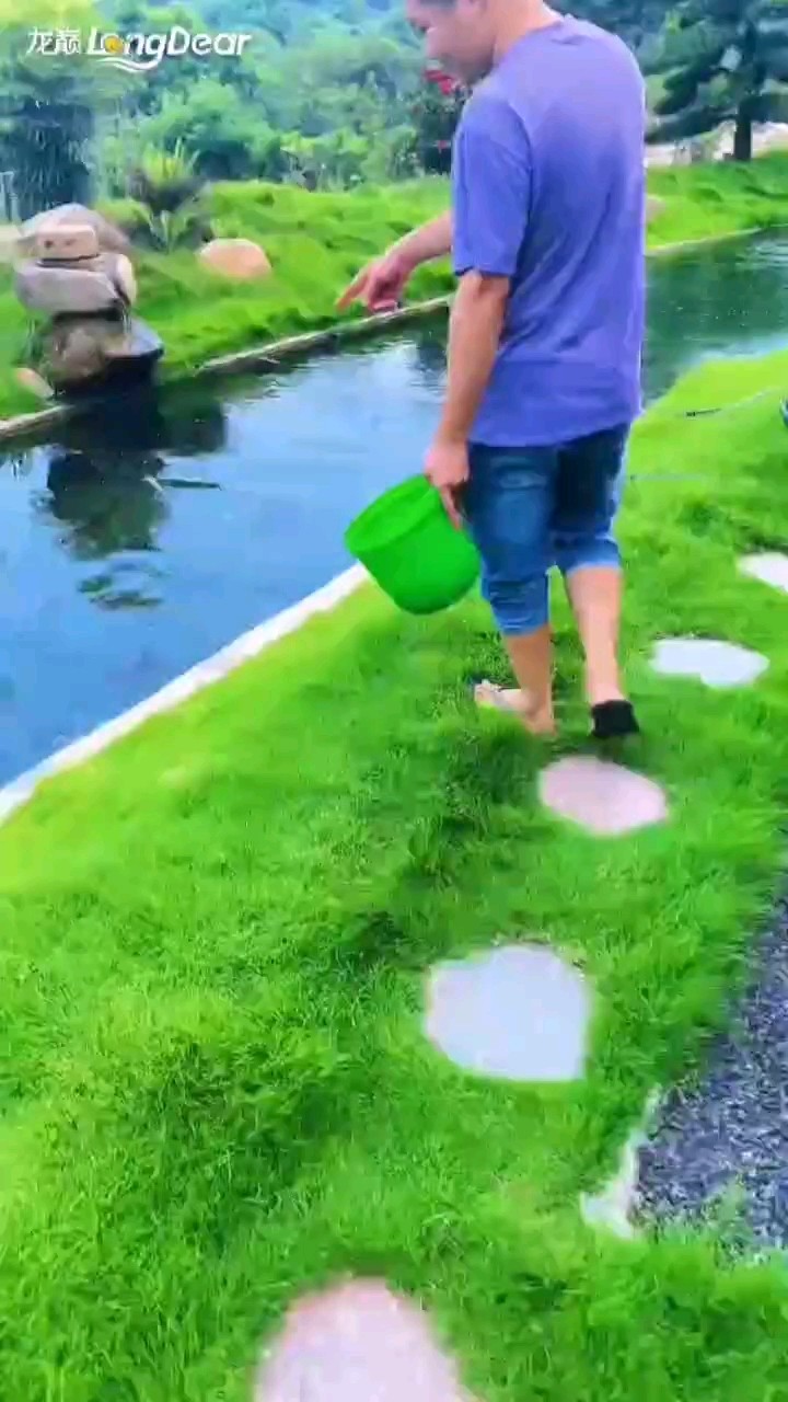 轉發523