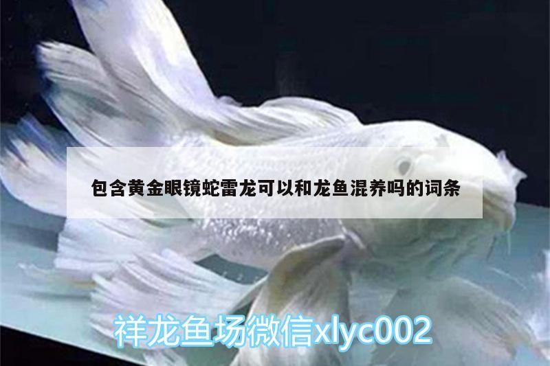 紅龍魚幾年能長到60公分呢(紅龍魚兩年可以長多大)