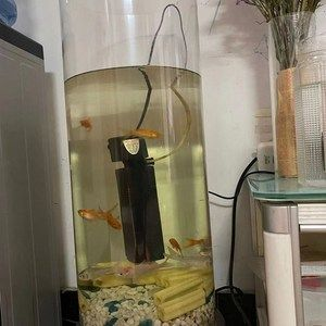 1.2米魚缸用多厚的玻璃管：1.2米魚缸使用多厚的玻璃管