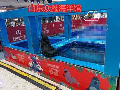 安慶水族館vs祥龍魚場（安慶水族館與祥龍魚場的區別） 安慶水族館vs祥龍魚場（安慶水族館與祥龍魚場的區別） 全國水族館企業名錄 第6張