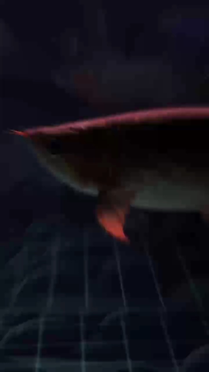 每日睇都睇唔厭！！ 每日睇都睇唔厭！！ 龍魚論壇