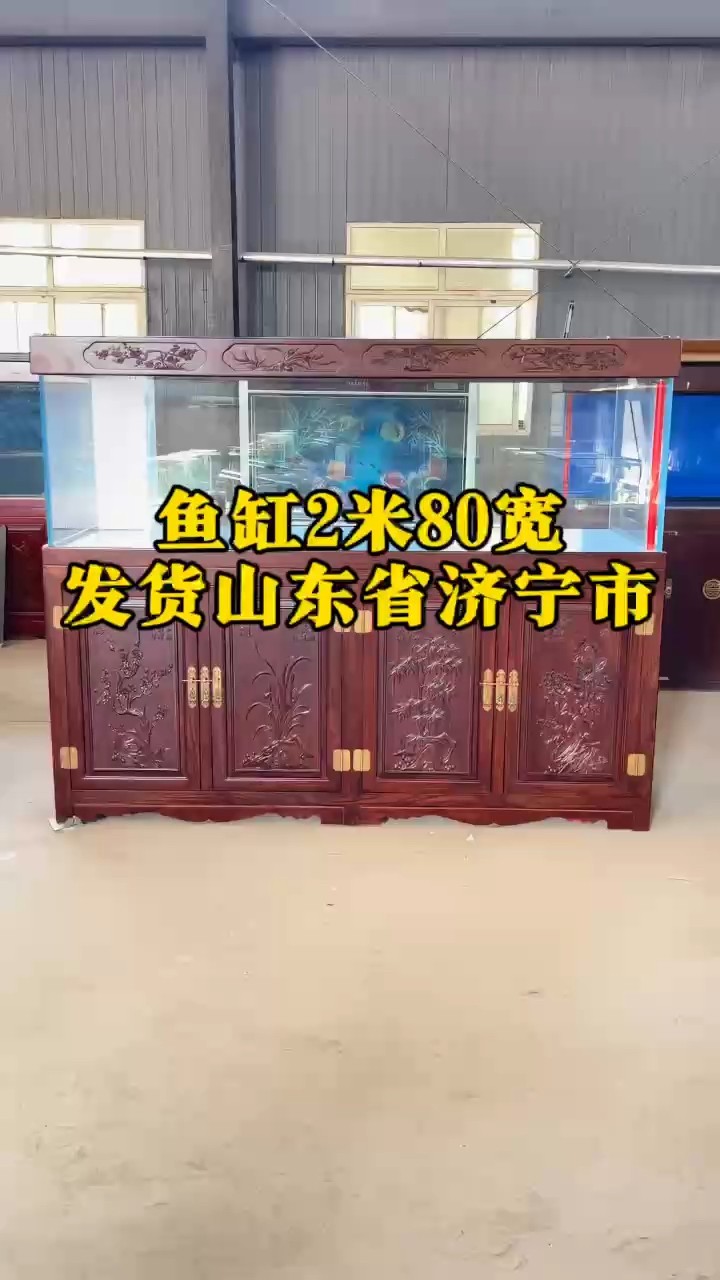 魚缸2米80寬實木魚缸、超白魚缸、龍魚缸 魚缸2米80寬實木魚缸、超白魚缸、龍魚缸 龍魚論壇
