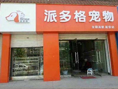 延安龍魚vs祥龍魚場（延安龍魚與祥龍魚場有什么區別？）
