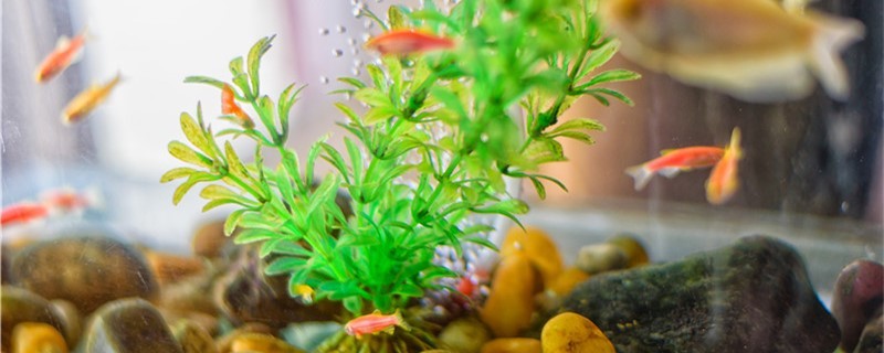 負壓魚缸的壞處有哪些負壓魚缸怎么換水