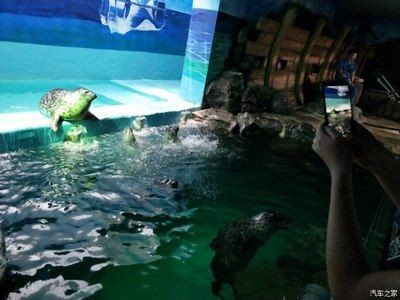 株洲水族館vs祥龍魚場(株洲水族館與祥龍魚場各有側重) 全國水族館企業名錄 第2張 株洲水族館vs祥龍魚場(株洲水族館與祥龍魚場各有側重) 株洲水族館vs祥龍魚場(株洲水族館與祥龍魚場各有側重) 全國水族館企業名錄 第2張
