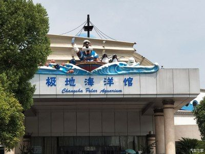 株洲水族館vs祥龍魚場(株洲水族館與祥龍魚場各有側重) 全國水族館企業名錄 第3張 株洲水族館vs祥龍魚場(株洲水族館與祥龍魚場各有側重) 株洲水族館vs祥龍魚場(株洲水族館與祥龍魚場各有側重) 全國水族館企業名錄 第3張