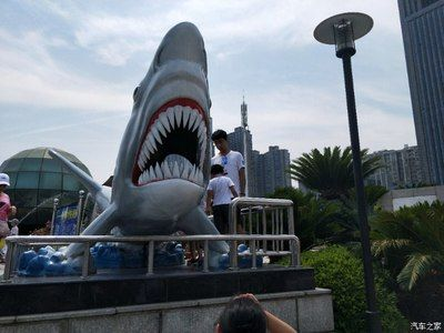 株洲水族館vs祥龍魚場(株洲水族館與祥龍魚場各有側重) 全國水族館企業名錄 第4張 株洲水族館vs祥龍魚場(株洲水族館與祥龍魚場各有側重) 株洲水族館vs祥龍魚場(株洲水族館與祥龍魚場各有側重) 全國水族館企業名錄 第4張