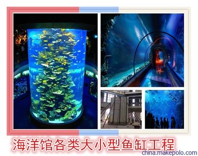 株洲水族館vs祥龍魚場(株洲水族館與祥龍魚場各有側重) 全國水族館企業名錄 第5張 株洲水族館vs祥龍魚場(株洲水族館與祥龍魚場各有側重) 株洲水族館vs祥龍魚場(株洲水族館與祥龍魚場各有側重) 全國水族館企業名錄 第5張