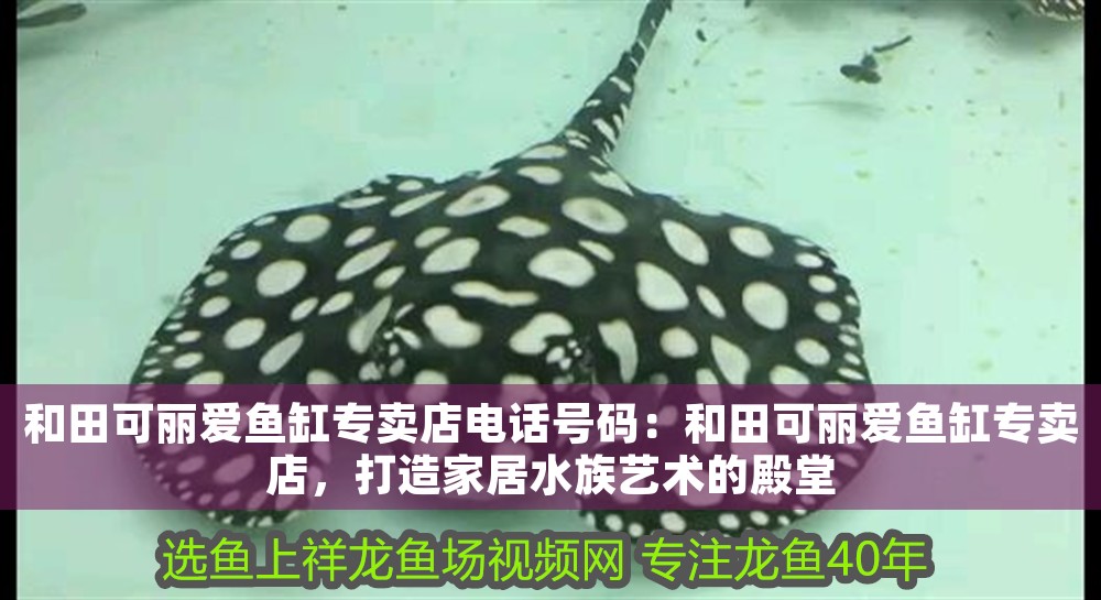 詳細(xì)閱讀:和田可麗愛(ài)魚(yú)缸專(zhuān)賣(mài)店電話號(hào)碼:和田可麗愛(ài)魚(yú)缸專(zhuān)賣(mài)店,打造家居水族藝術(shù)的殿堂 和田可麗愛(ài)魚(yú)缸專(zhuān)賣(mài)店電話號(hào)碼:和田可麗愛(ài)魚(yú)缸專(zhuān)賣(mài)店,打造家居水族藝術(shù)的殿堂