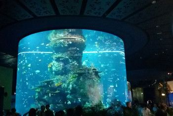 澳門水族館vs祥龍魚場（澳門水族館和祥龍魚場各自在自己的領域內有著顯著的特點和優勢）