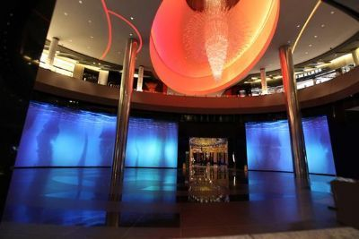 澳門水族館vs祥龍魚場（澳門水族館和祥龍魚場各自在自己的領域內有著顯著的特點和優勢）