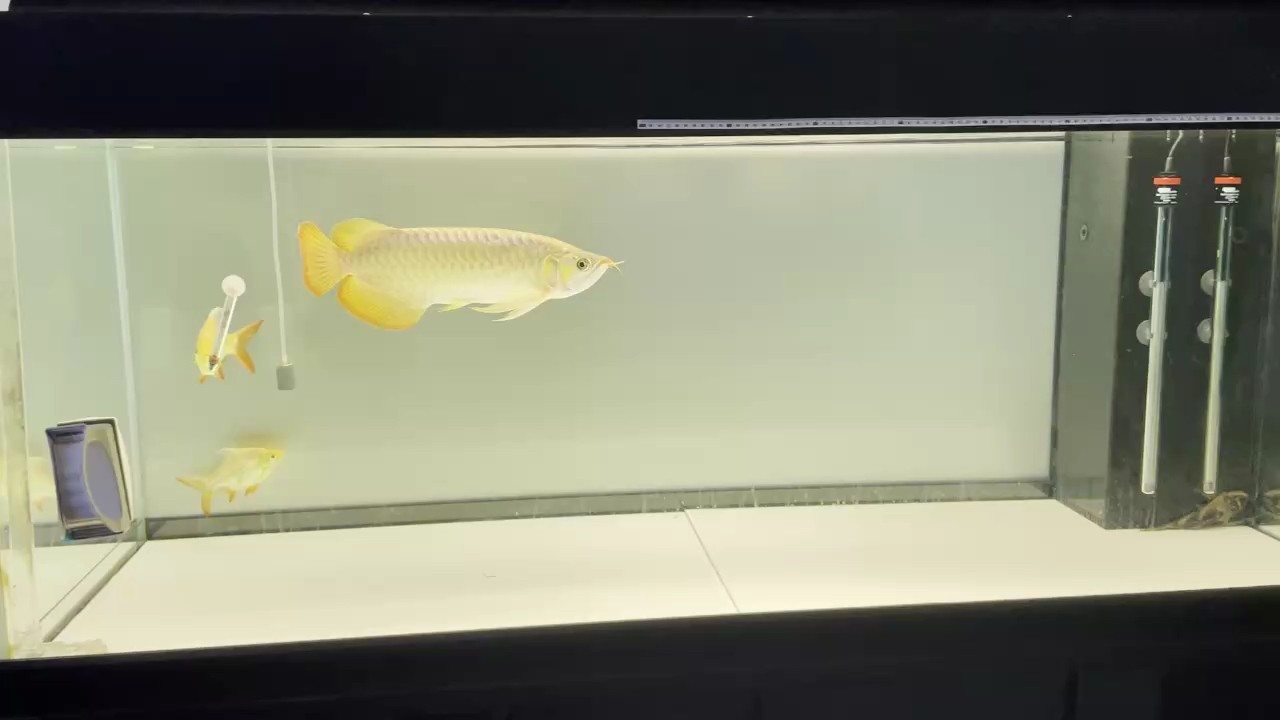 這狀態(tài)可以嗎