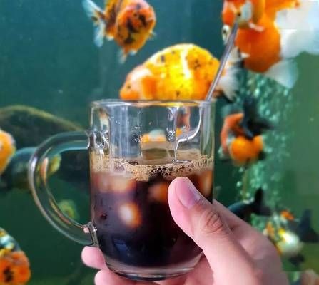 3米大魚缸養什么魚好看：3米大魚缸養魚技巧在3米大的魚缸中養魚需要注意以下幾點 3米大魚缸養什么魚好看：3米大魚缸養魚技巧在3米大的魚缸中養魚需要注意以下幾點 魚缸百科 第1張