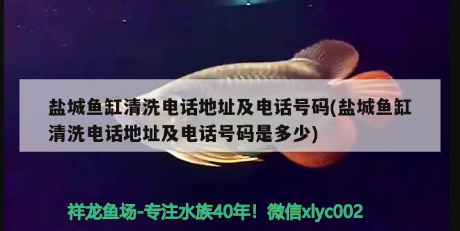 鹽城魚缸清洗電話地址及電話號碼(鹽城魚缸清洗電話地址及電話號碼是多少)