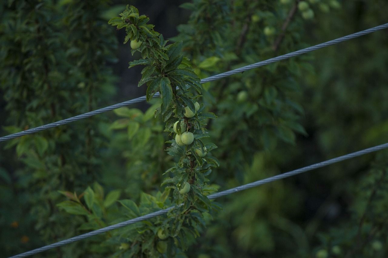 森森魚缸水位調節