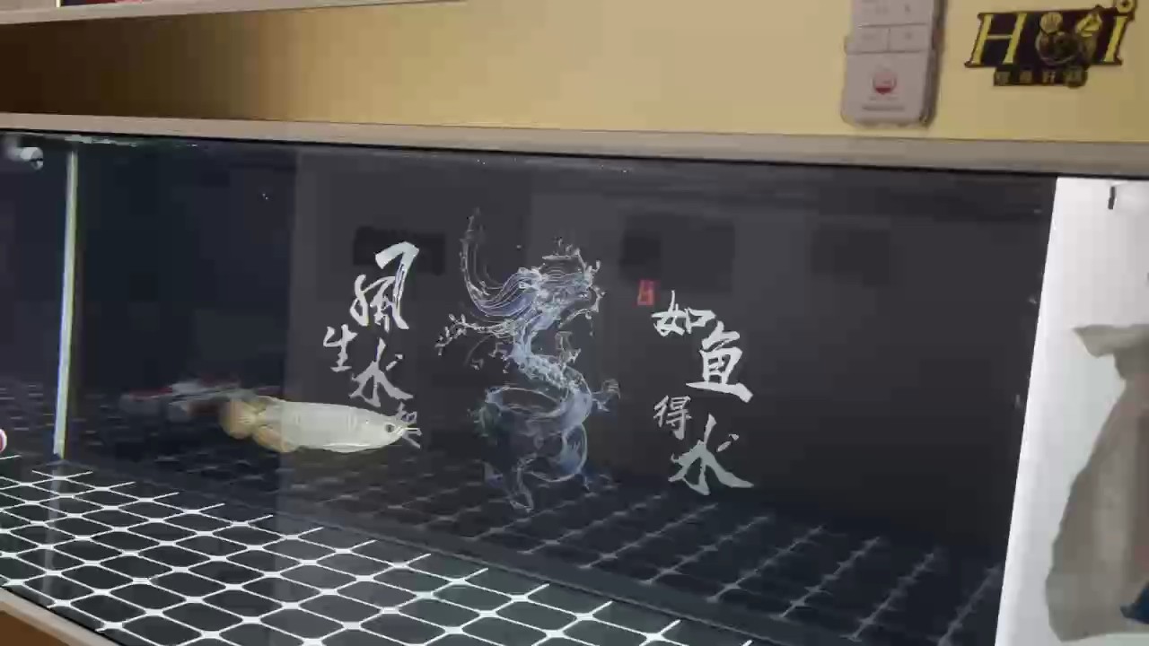 第十五天